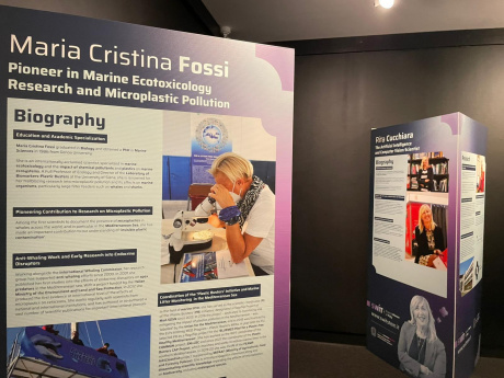 Mostra SWIT: riconoscimento per la scienziata Maria Cristina Fossi