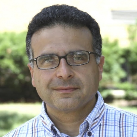 professor Massimo Olivucci professor Massimo Olivucci