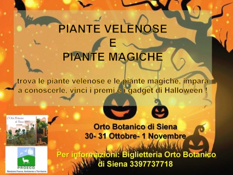 "Piante velenose e piante magiche"