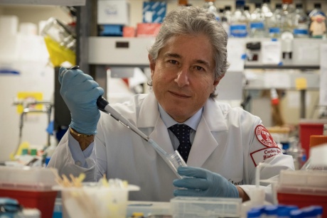 prof. Antonio Giordano