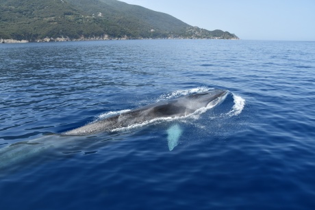 Info Day Plastic Busters MPAs