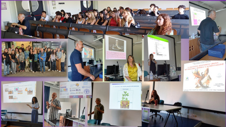 Conclusa la Scuola estiva interdisciplinare di Scienze - Piano Nazionale Lauree Scientifiche (PLS)