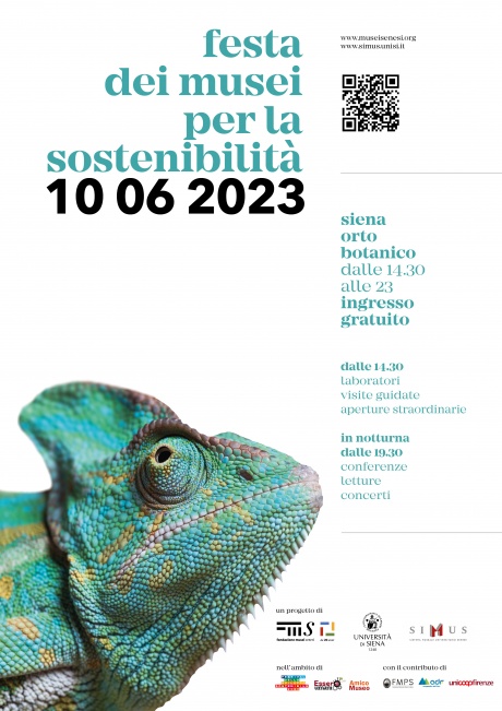 Festa dei musei per la sostenibilità Festa dei musei per la sostenibilità