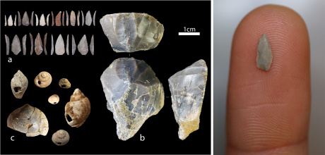 Nuove ricerche mettono in discussione l’impatto della grande eruzione dei Campi Flegrei di 40.000 anni fa sullo sviluppo culturale dei primi Homo sapiens in Europa
