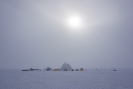 Unisi partecipa al progetto "Sensitivity of the West Antarctic Ice Sheet" Unisi partecipa al progetto "Sensitivity of the West Antarctic Ice Sheet"