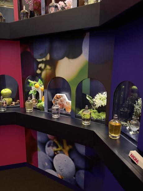 All’Università di Siena apre “WOW…”