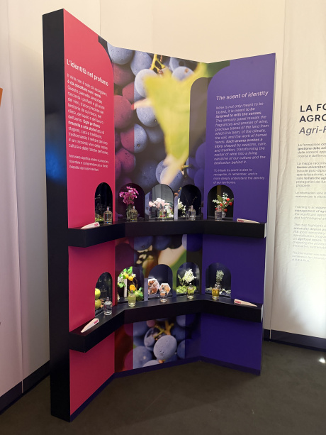 All’Università di Siena apre “WOW…”