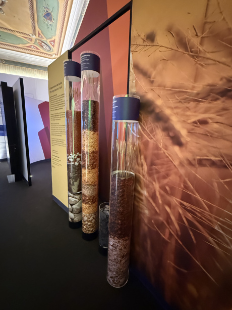 All’Università di Siena apre “WOW…”