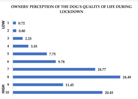 “La relazione uomo-cane durante il primo lockdown COVID-19 in Italia”