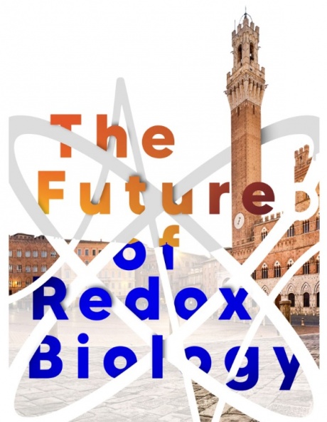 Convegno internazionale “The future of redox biology”