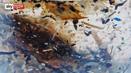 video "Odissea Plastica" video "Odissea Plastica"