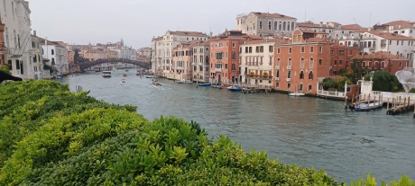 Venezia: i licheni per il biomonitoraggio della qualità dell'aria