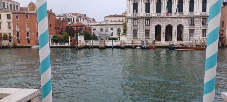 Venezia: i licheni per il biomonitoraggio della qualità dell'aria