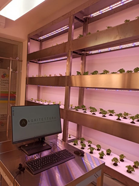 Inaugurazione del Laboratorio idroponico [17/06/2022]