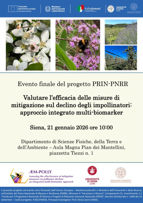 progetto PRIN PNRR ÆM-POLLY