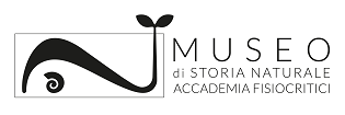 immagine logo Accademia Fisiocritici