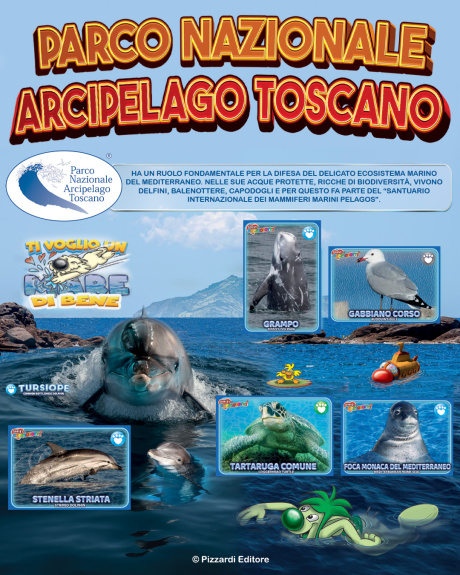 Giornata mondiale della biodiversità: "Spiagge pulite per un mare pulito"