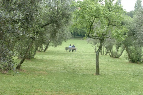 Arezzo: "Vivi il Pionta"