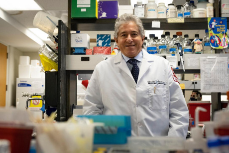 professor Antonio Giordano 