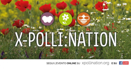 Presentazione del progetto di Citizen Science "X-Polli:Nation"