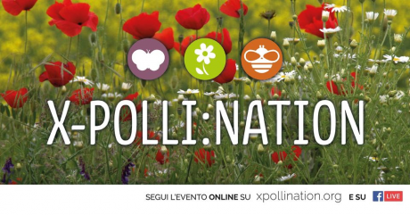Presentazione del progetto di Citizen Science "X-Polli:Nation" Presentazione del progetto di Citizen Science "X-Polli:Nation"