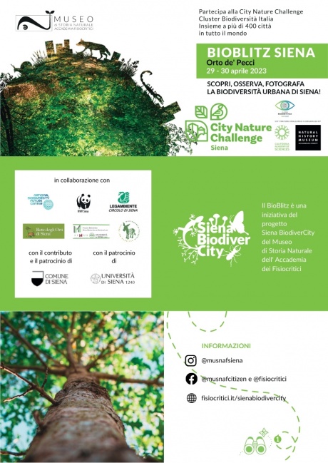 BioBlitz Siena
