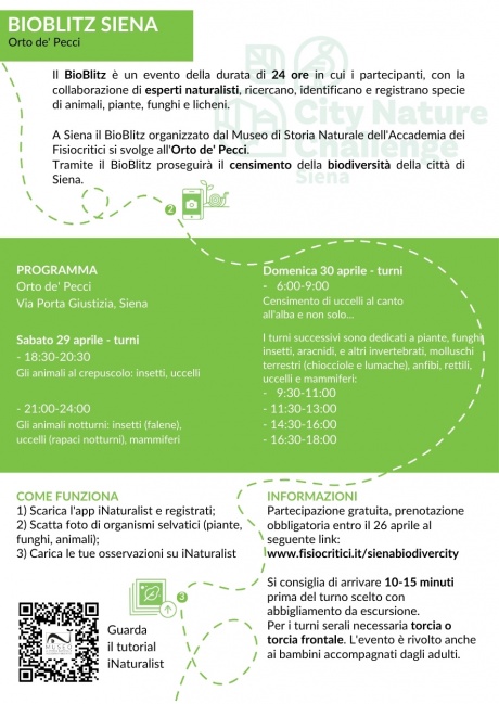 BioBlitz Siena