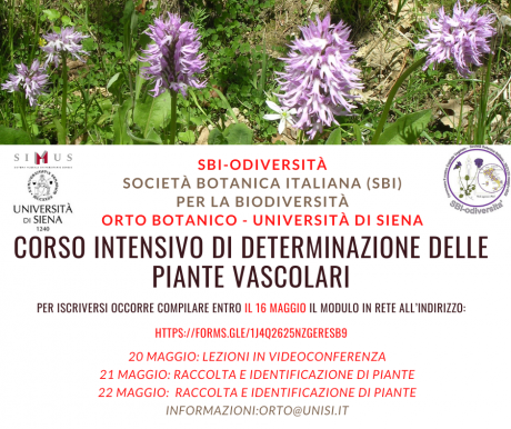 Corso intensivo di determinazione delle piante vascolari