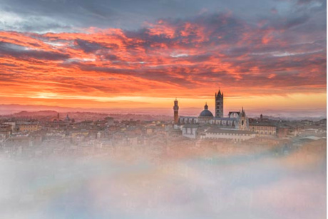Auguri di Buone feste dall'Università di Siena