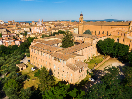 Laureate/i le prime 17 studentesse e i primi 12 studenti del corso triennale in Economics and Management dell’Università di Siena