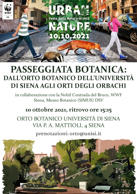passeggiata dall’Orto botanico agli orti degli Orbachi 