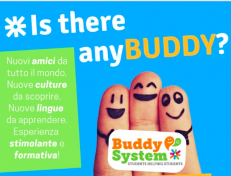 Buddy System 