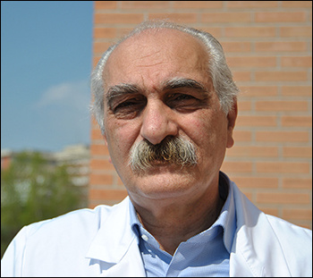 Prof. Alfonso De Stefano Prof. Alfonso De Stefano