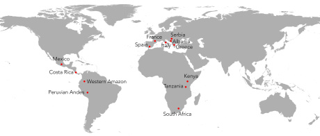 Al via il progetto LidArc Initiative sui paesaggi archeologici nascosti