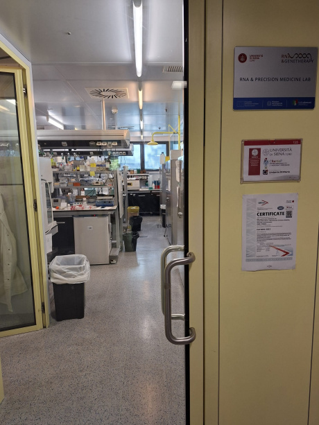 Ricerca sul diabete: certificato sistema gestione qualità laboratorio Unisi Ricerca sul diabete: certificato sistema gestione qualità laboratorio Unisi