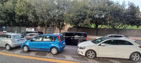 Foglie e licheni per la conservazione preventiva dell’area archeologica sulle pendici meridionali del Palatino, nel Parco Archeologico del Colosseo Foglie e licheni per la conservazione preventiva dell’area archeologica sulle pendici meridionali del Palatino, nel Parco Archeologico del Colosseo