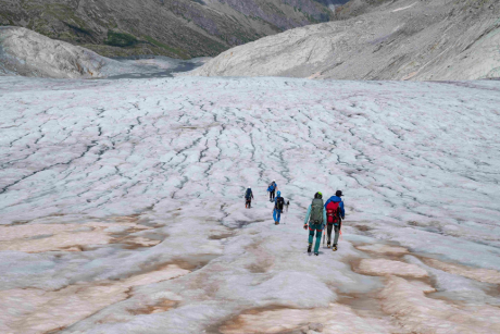 Al via il progetto di citizen science “CollembolICE”