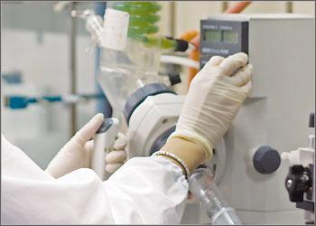 Immagine di repertorio Immagine di repertorio