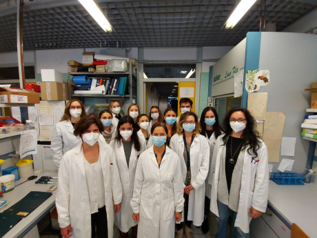 gruppo di ricerca della professoressa Cosima Baldari gruppo di ricerca della professoressa Cosima Baldari