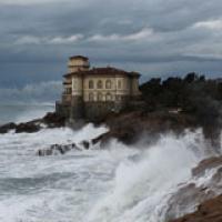 Immagine dal profilo Immagine dal profilo