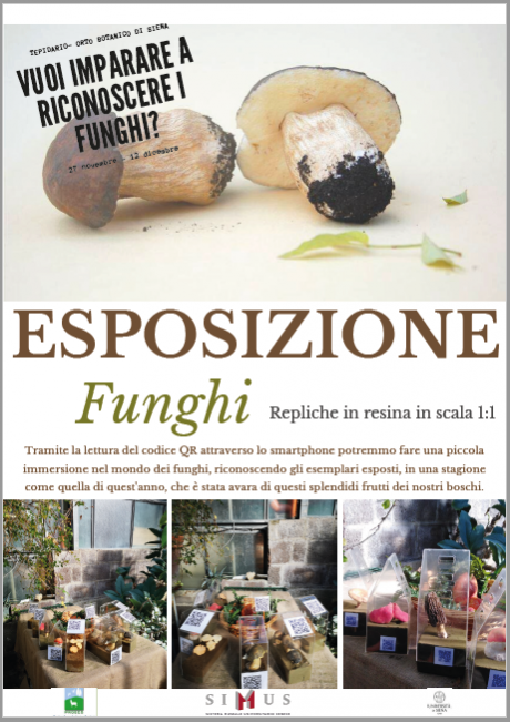 parte della locandina 