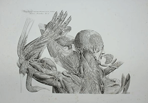 giornate museologia medica