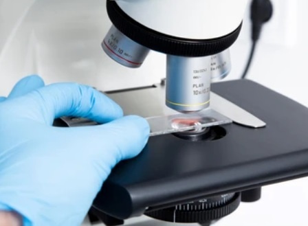Aperto il bando per la Scuola di specializzazione in Microbiologia e Virologia a.a. 2022-2023