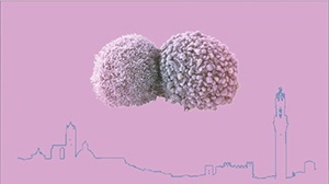 MDR Siena 2016 MDR Siena 2016