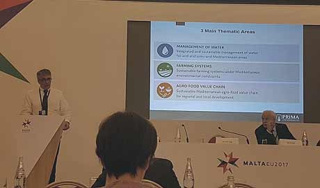 Prof. Riccaboni Prof. Riccaboni