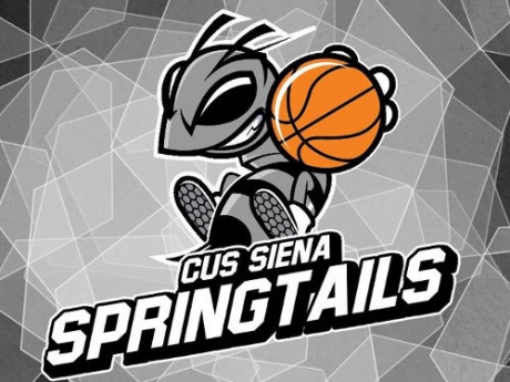 Basket universitario: gli Springtails cercano nuovi giocatori!